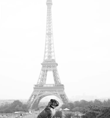 Elliot Bantman Photographe de Mariage à Paris, en France et à paris. Photographe de Mariage à Paris
